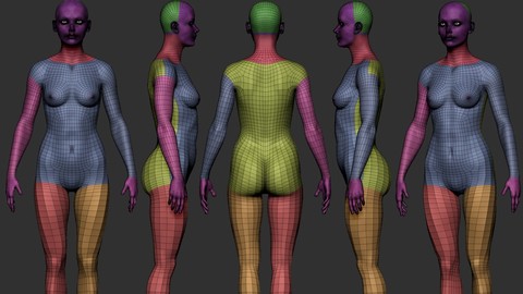 Female Base mesh