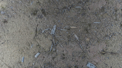 PBR Ground Trash - 8K Seamless Texture (5 variations)