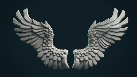 Wings Relief