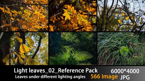 Light leaves_02_Reference Pack