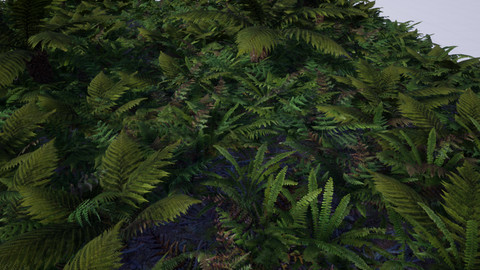 (UE4) The Fern Collection