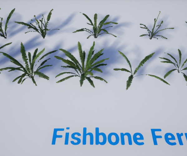 ArtStation (UE4) The Fern Collection Resources
