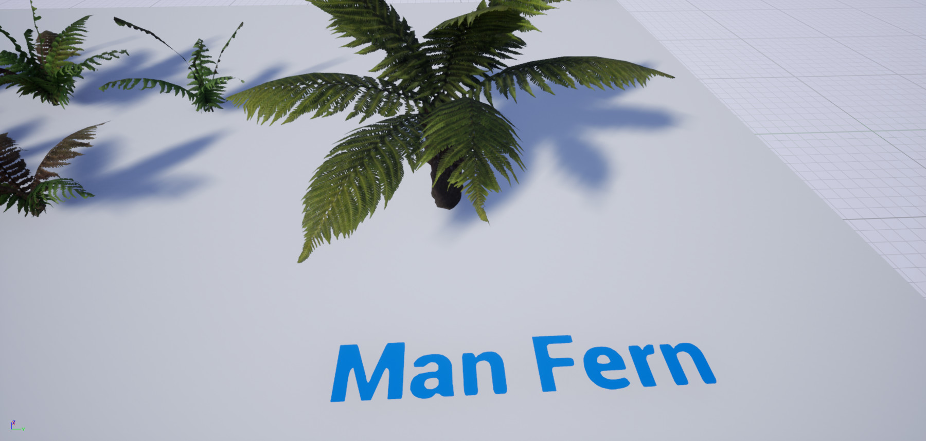 ArtStation (UE4) The Fern Collection Resources