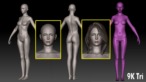 Base Female (9K Triangles) for AAA Game Production. (Clean Topology, UV Mapped, Rig Friendly, 5 Subdivision Levels)