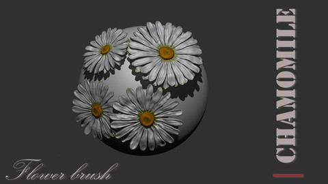 Chamomile / camomile flower brush for zbrush