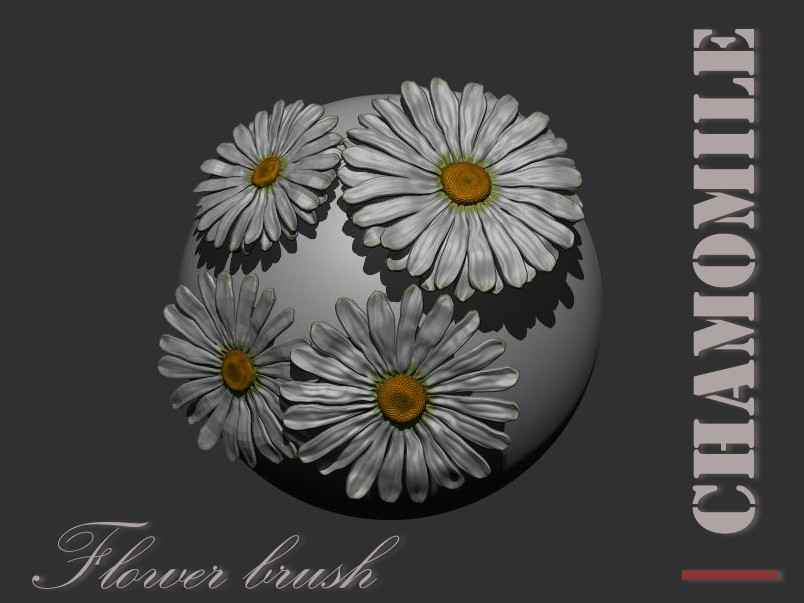 ArtStation Chamomile / camomile flower brush for zbrush Brushes