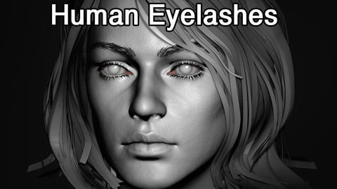 Human Eyelashes Pack
