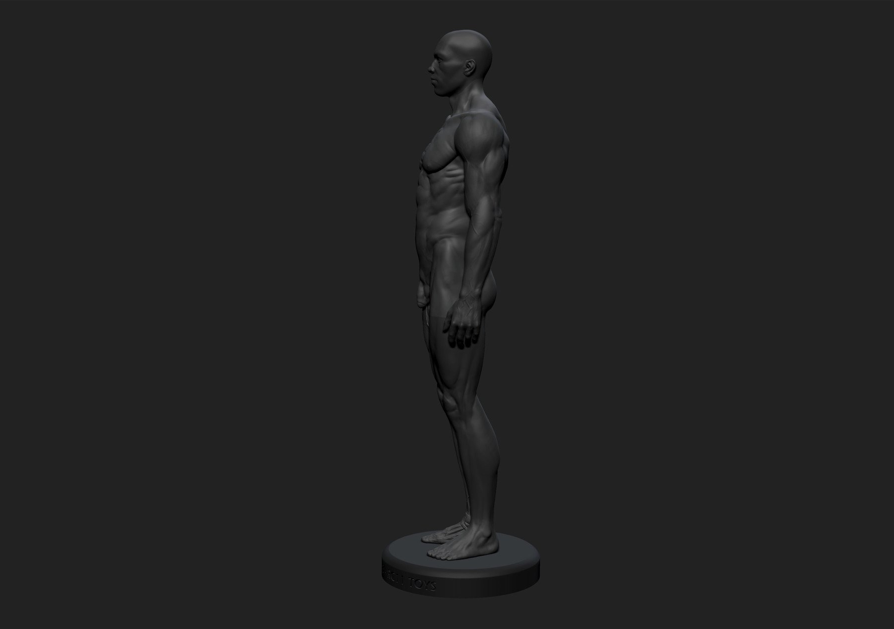 ArtStation - Ecorché - Anatomy Male Reference Model - 3d Print Ready ...