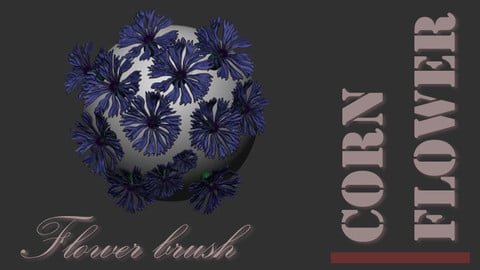 Cornflower brush for Zbrush