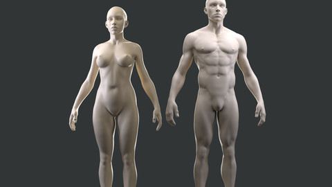 Male/Female base mesh for production