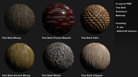 6 Tree Bark Customizable Material