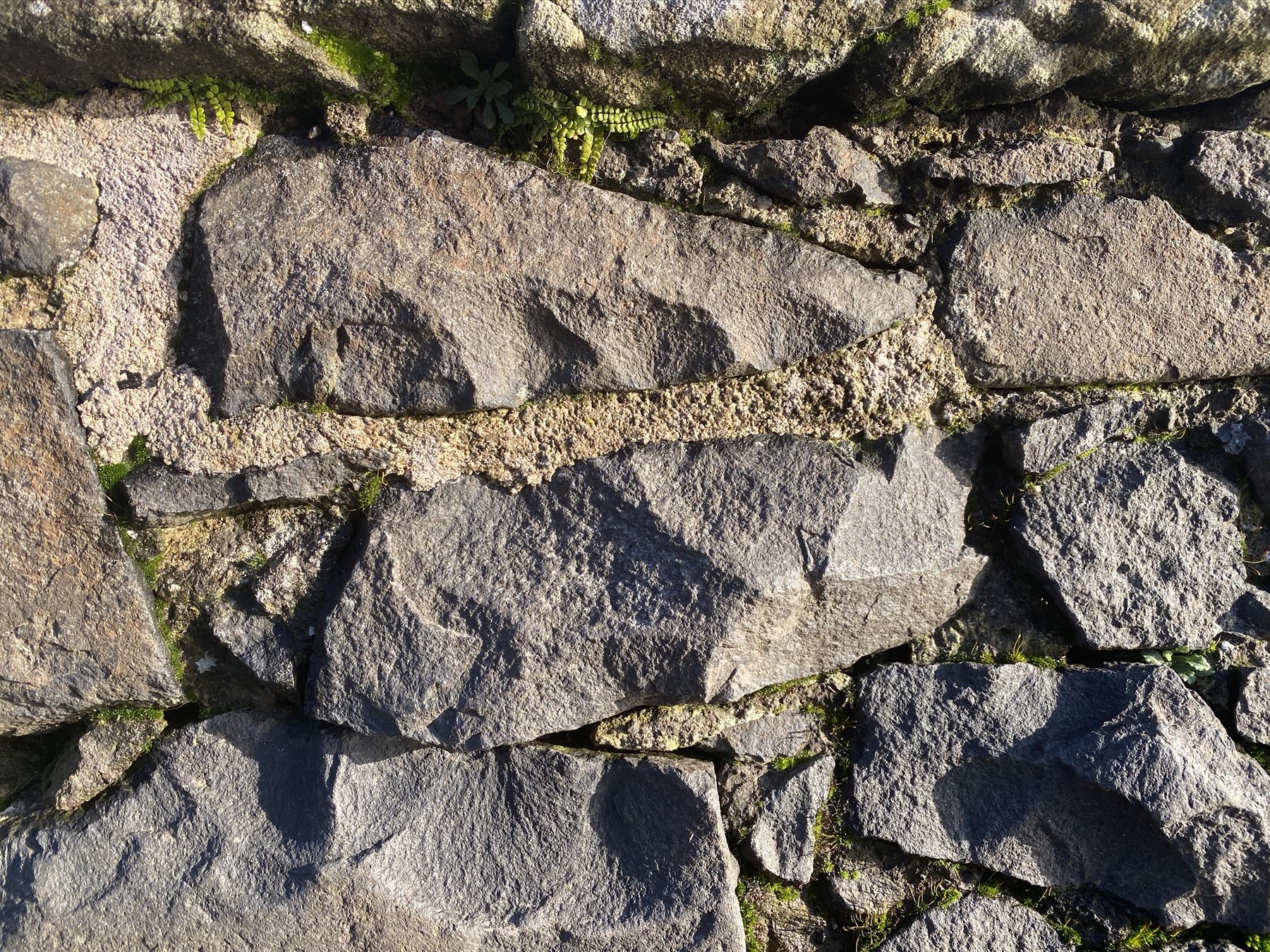 ArtStation - HD/HDR Ground Texture Pack 02 | Resources