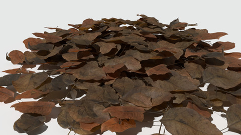 Dry Walnut Leaves Pack