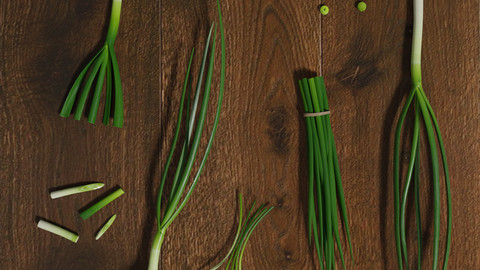 Low Poly green onion scene