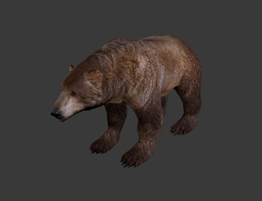 Модель bear. Медведь модель. Медведь 3d модель. Бурый медведь 3д модель. Бурый медведь 3d модель.