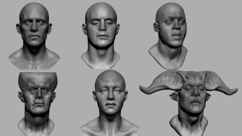 Male Head Collection