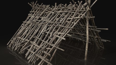 Next Gen AAA Shelter Hut made of sticks