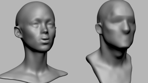 Male Female Head Basemesh