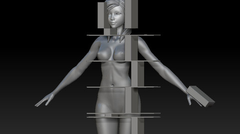 Body Proportions Guide for ZBrush