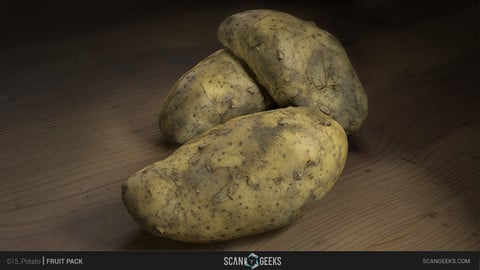 Potato 01 Photogrammetry Asset 3D PhotoScan