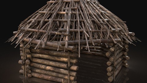 Next Gen AAA Forest Shelter Hut made of sticks and logs