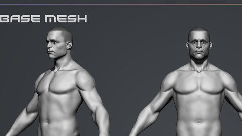 Male Base Mesh