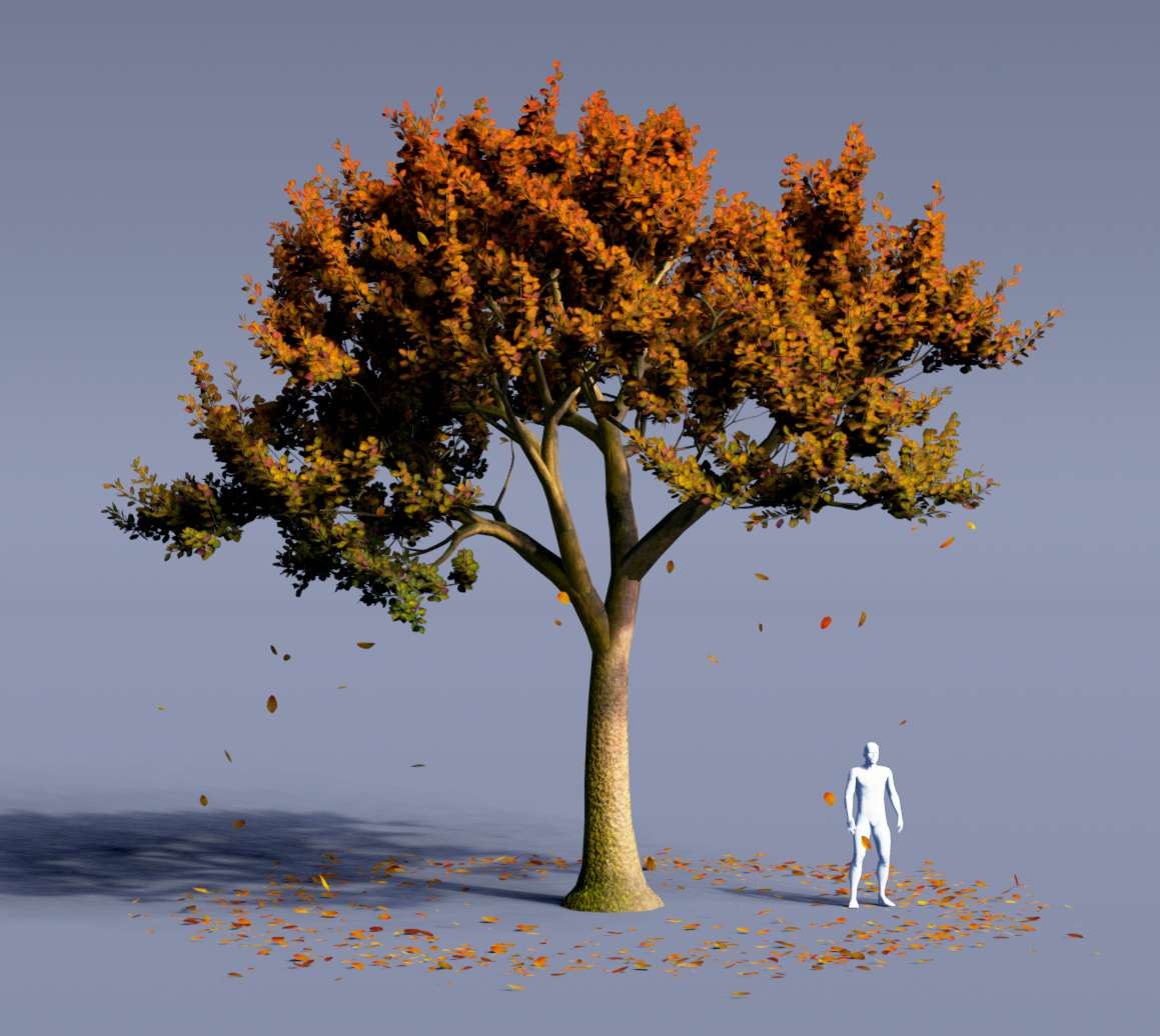 Модель дерева блендер. Blender 3d Tree. Деревья в Blender 3d. Дерево в блендер 3д. Blender модели дерево.