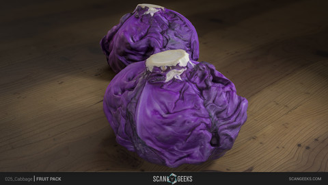 Cabbage Photogrammetry Asset 3D PhotoScan
