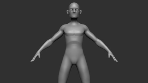 Slim Fit Stylized Basemesh