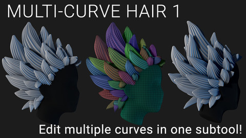 Multi-Curve Hair 1