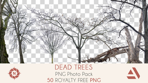 artstation png photo pack dead trees resources artstation png photo pack dead trees