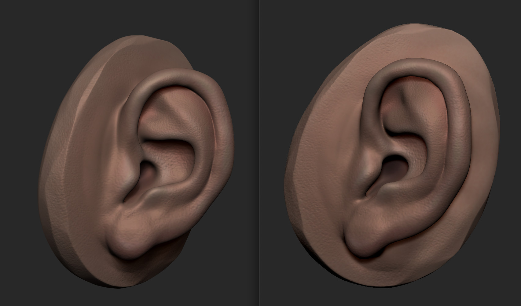 ear reference