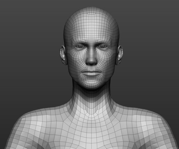 Artstation - Female Topology 