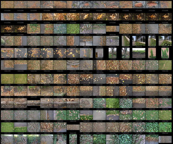 ArtStation - Ground Texture Reference 1 - Nature | Resources