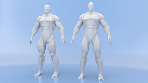 Male Base Mesh