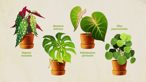 Desktop Plant Icons