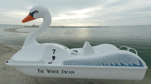 Swan Pedal Boat
