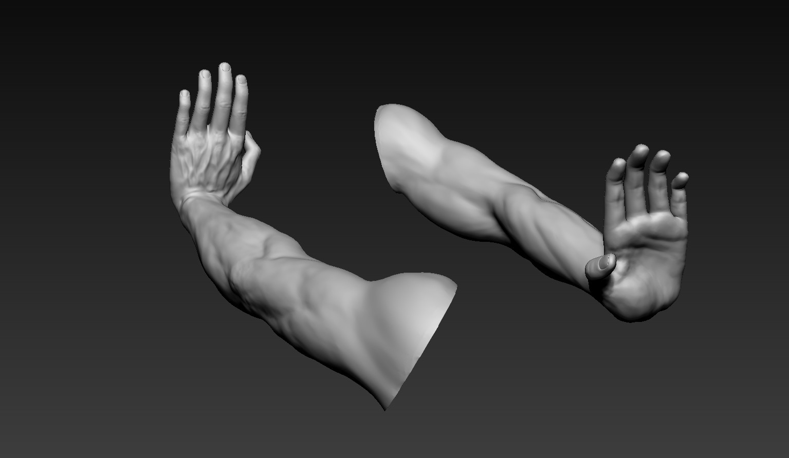 Male arms. Arm 3d model. Ring male Arm.