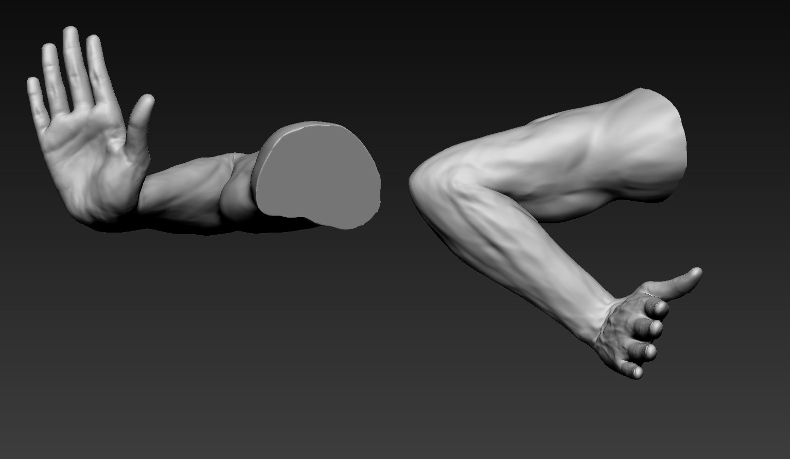 Male arms. Arm 3d model. Male Arm. Ring male Arm.