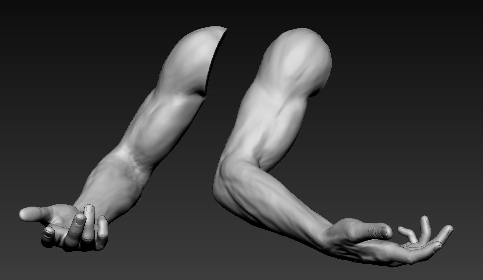 Male arms. Arm 3d model. Arm hand 3d model. Male Arm 3d. Arms 3d download.