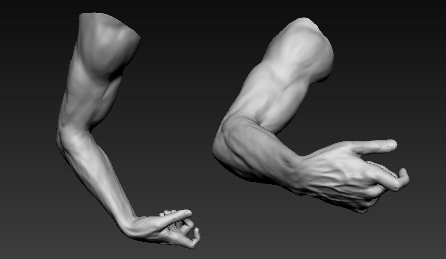 Male arms. Arm 3d model. Arm 3d model free. Arms 3d download. How model Arm.