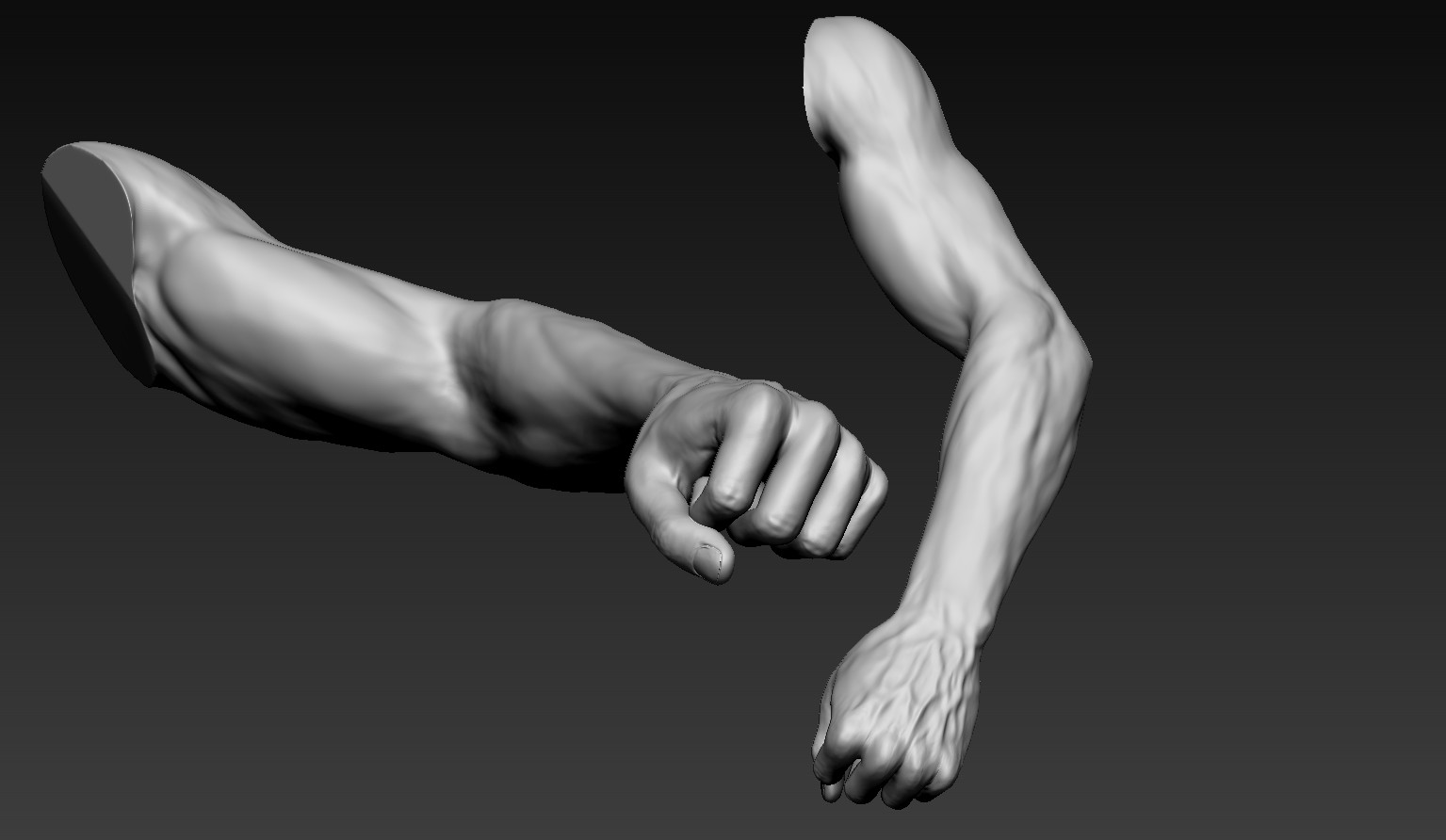 Male arms. Arm 3d model. Arm 3d model free.