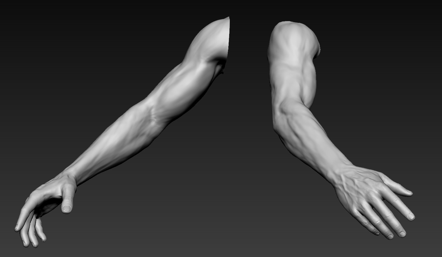 Male arms. Arm 3d model. Ring male Arm. Arm 3d model free.