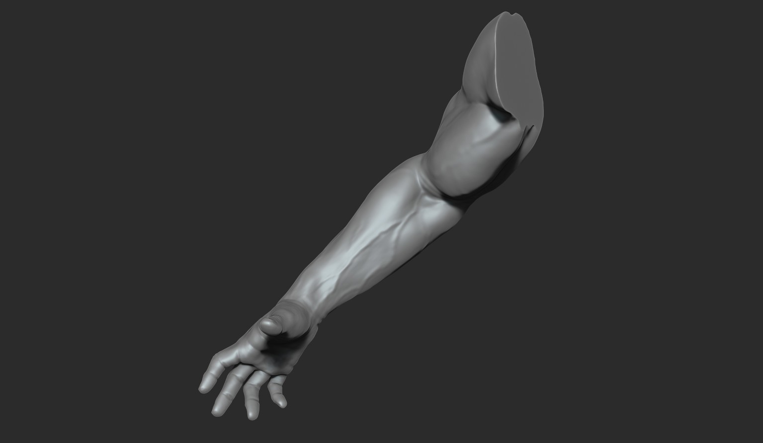 ArtStation - Muscular Male Arms 10 Poses | Resources