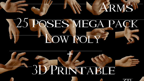 Realistic Female Hands and Arms