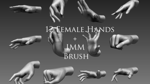 12 Female Hands IMM