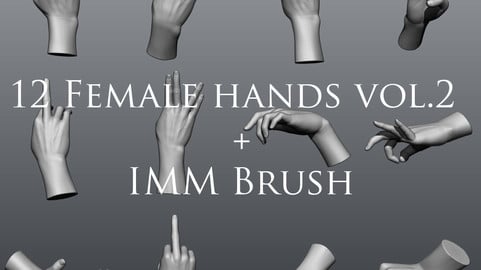 12 Female Hands 2