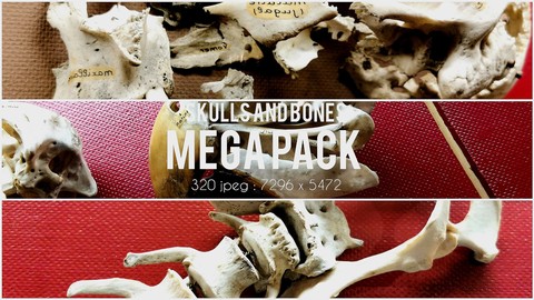 Skulls and Bones References MEGAPACK