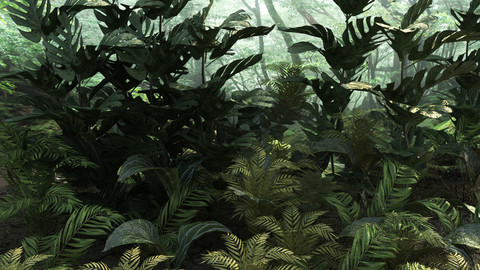 Tropic plants 10 types