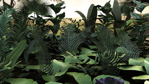 Set tropical plants (10 types)